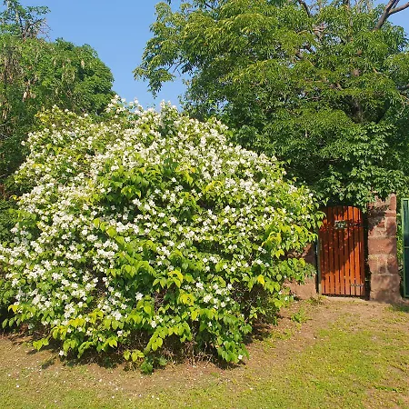 Budatava Nyaralo Holiday home Balatonalmadi
